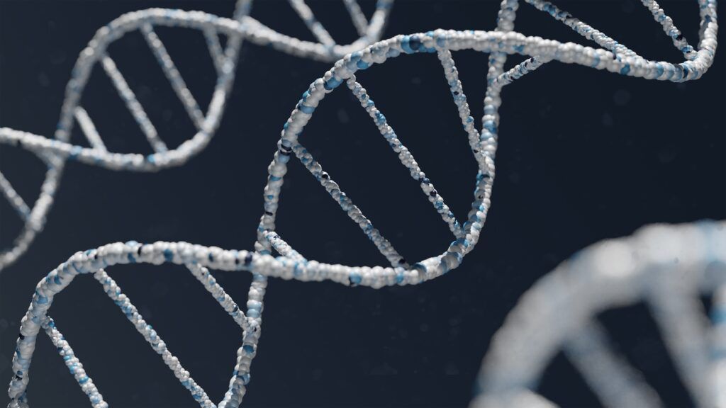 MDLifespan Longevity Telomere Testing Genetics DNA